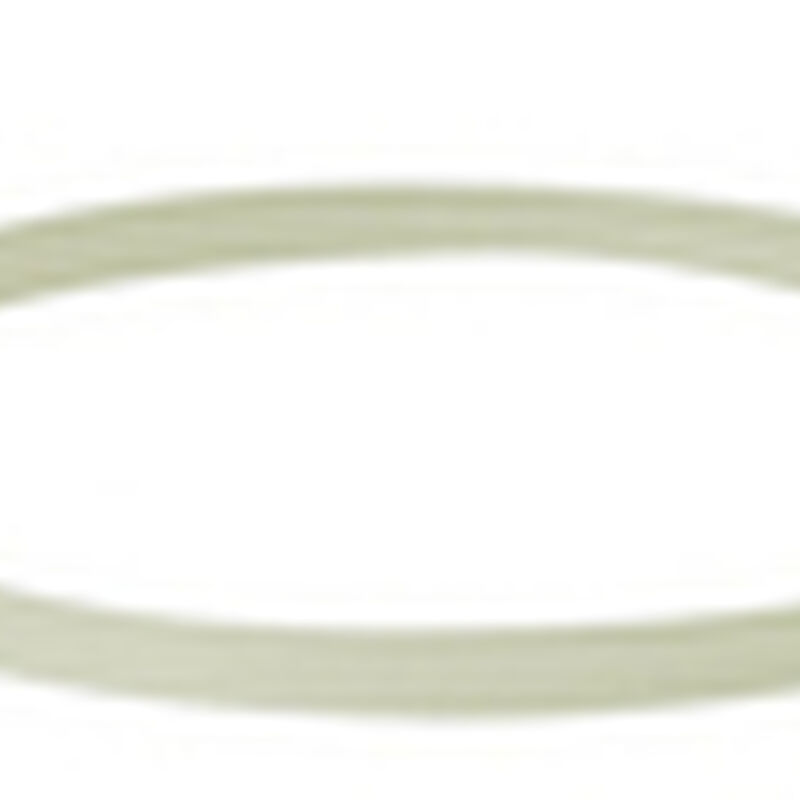 Gasket for Blend and Cook Soup Maker