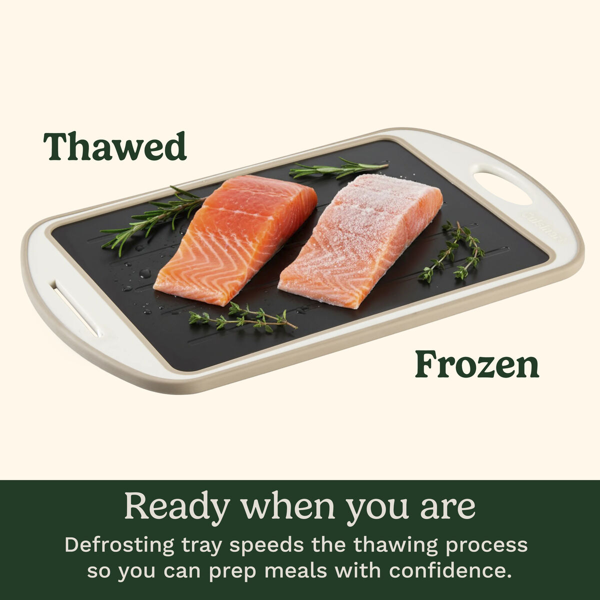 5-in-1 Thaw & Chop Tray 2
