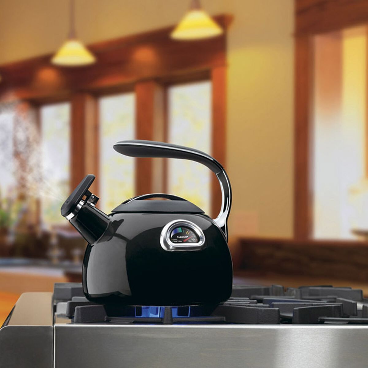 Discontinued PerfecTemp&reg; Teakettle 2