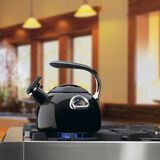 Discontinued PerfecTemp&reg; Teakettle 2