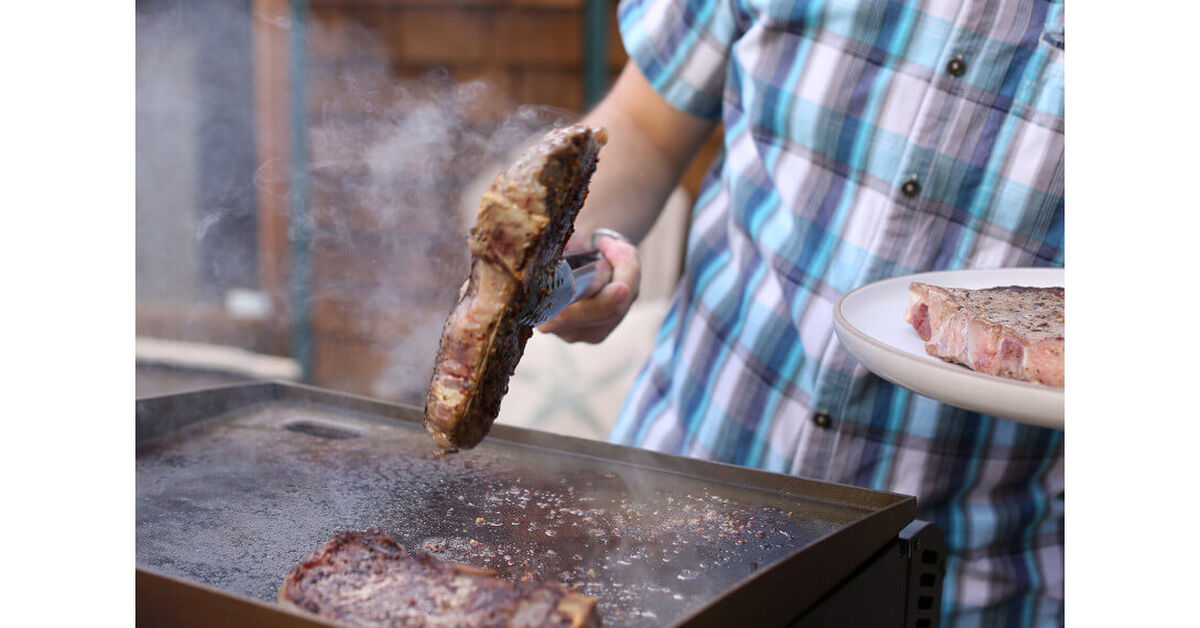 Discontinued Gourmet Two Burner Gas Griddle