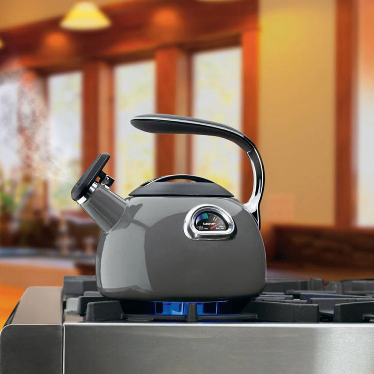 Discontinued PerfecTemp&reg; Teakettle 2