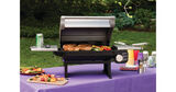 All-Foods Tabletop Gas Grill