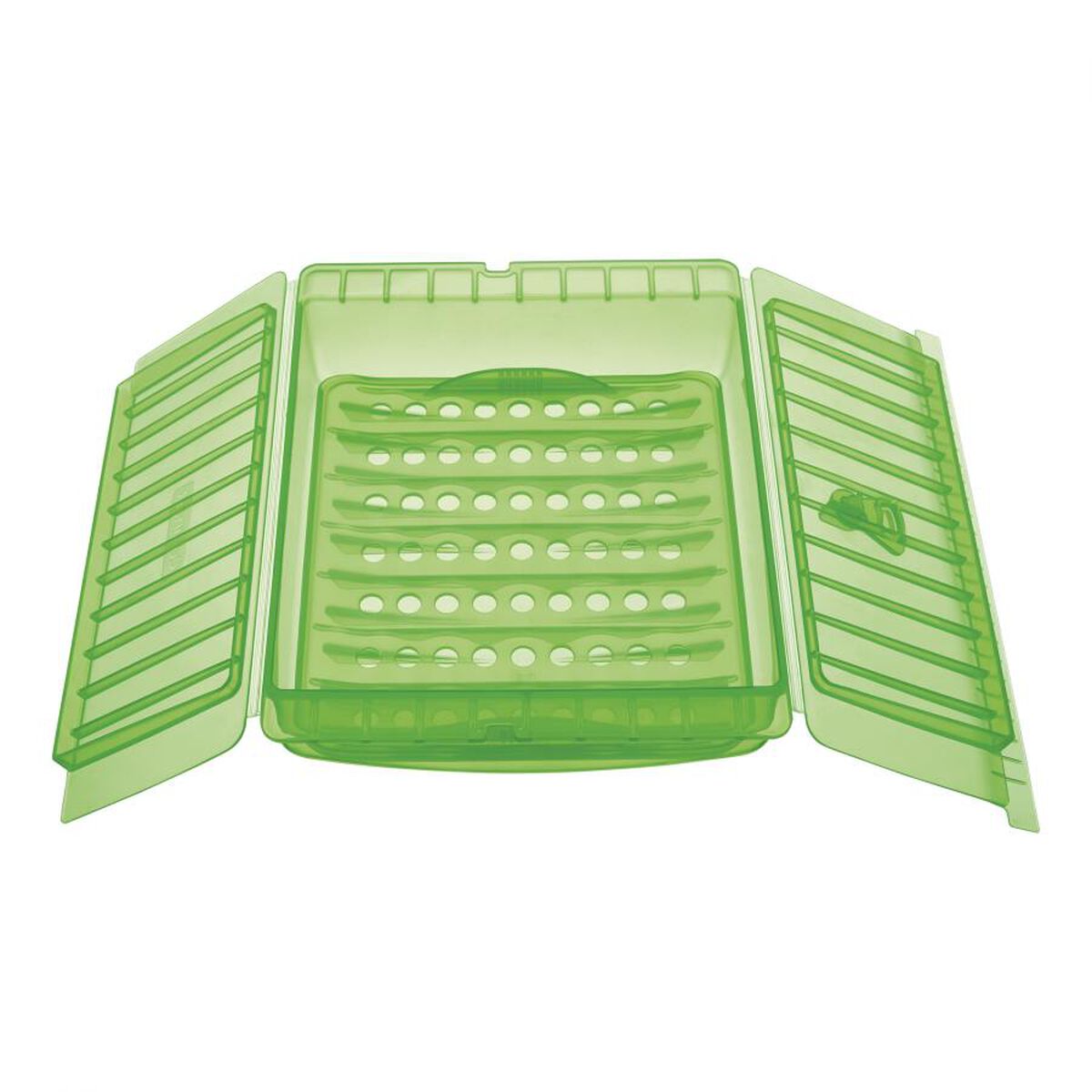 Discontinued Silicone Steam Case 2