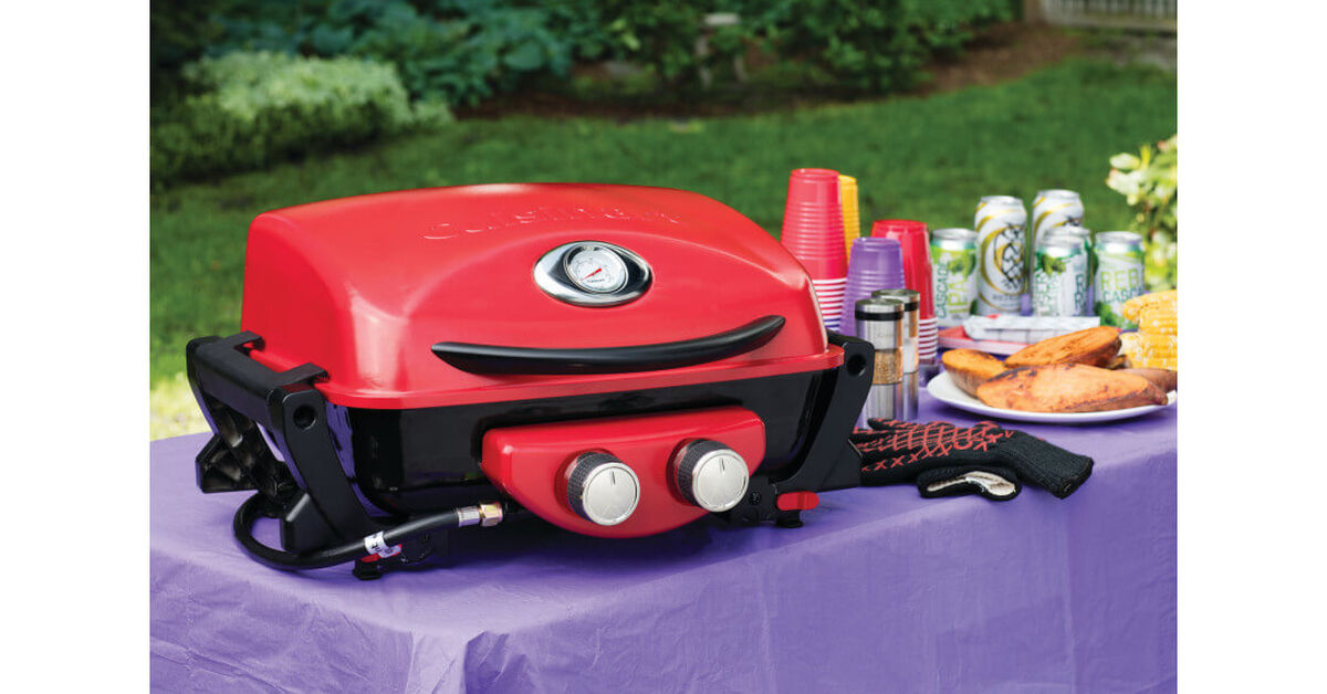 Dual Blaze Two Burner Gas Grill 9