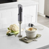 Discontinued EvolutionX Cordless Hand Blender 2