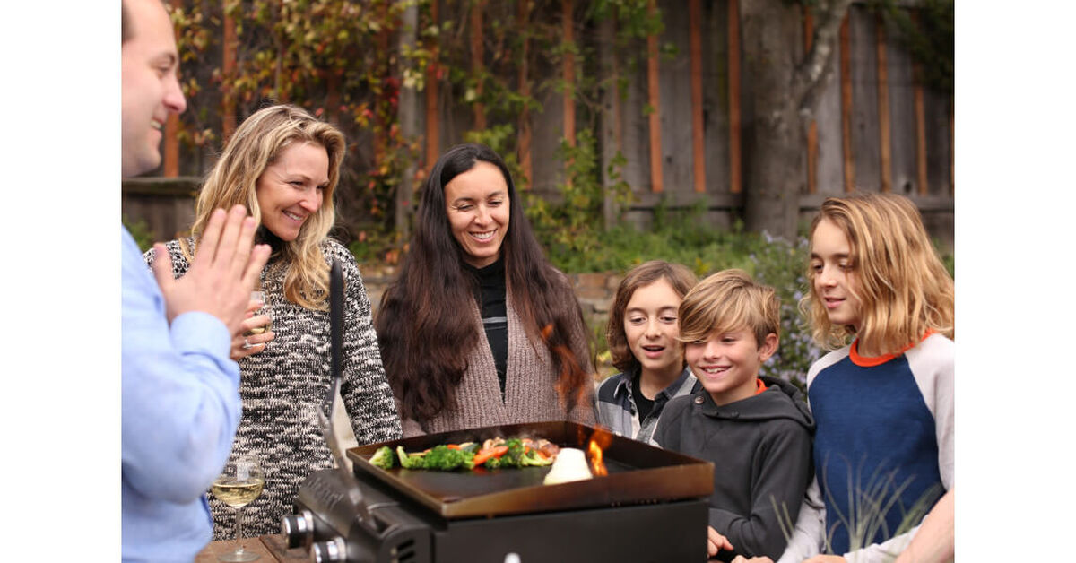 Discontinued Gourmet Two Burner Gas Griddle