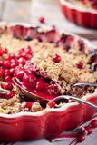 Cranberry Ginger Apple Crisp - Classic Toaster Oven-1