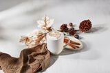 Autumn Spice Latte-1