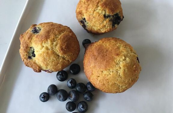 Blueberry Muffins