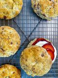 Double Strawberry Shortcakes-1