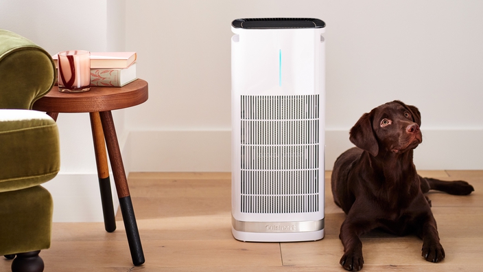 air purifiers 