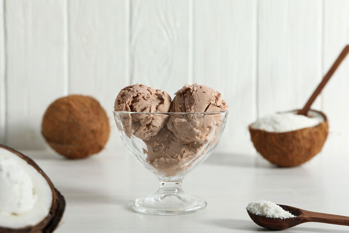 Chocolate Coconut Non-Dairy Ice Cream-1