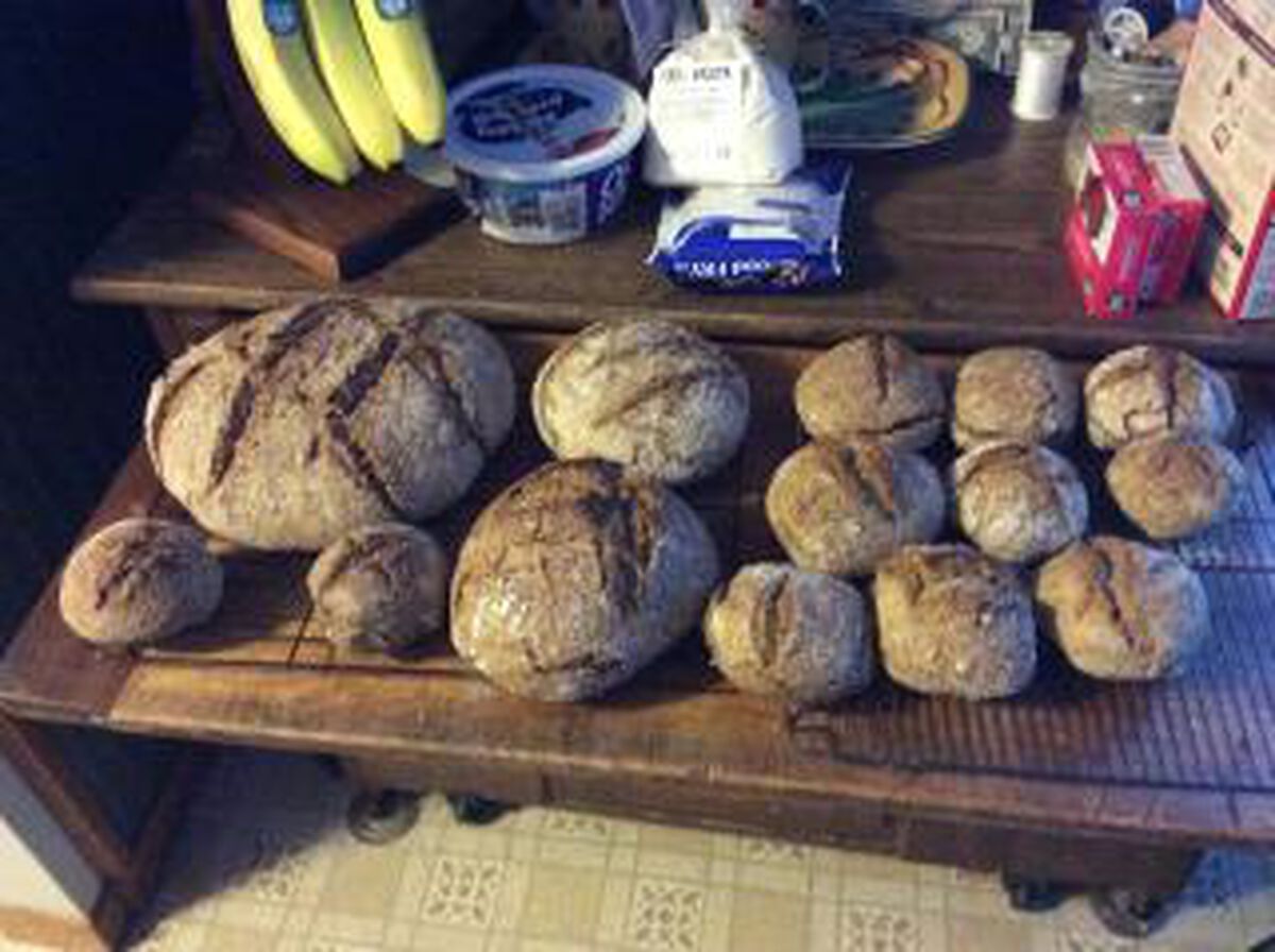 Wheat Bran Bread - Medium 1 1/2 Lbs.-1
