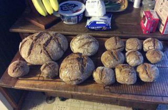 Wheat Bran Bread - Medium 1 1/2 Lbs.