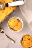 Mango Sorbet-1