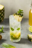 Pineapple Mint Spritz-1