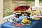 Petite Gourmet Portable Tabletop Gas Grill