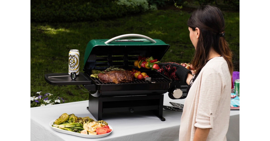 Discontinued Everyday Portable Gas Grill
