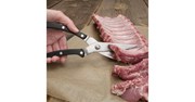 Discontinued Stainless Steal Multi-Purpose BBQ Shears