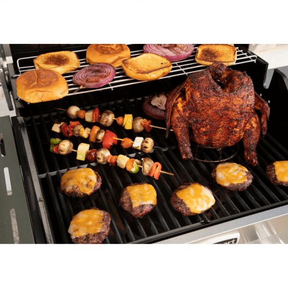Discontinued 2 Burner Gas Grill
