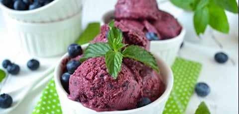 Blueberry Mint Sorbet - 4 cups