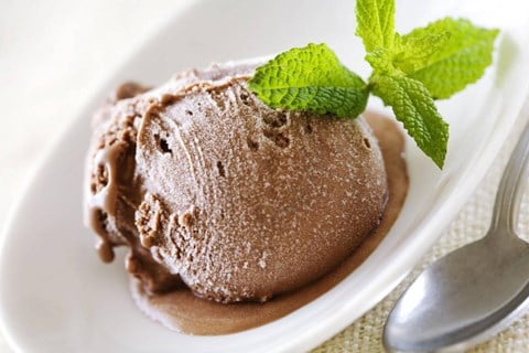 Simple Chocolate Ice Cream - 5 cups (ten ½-cup servings)