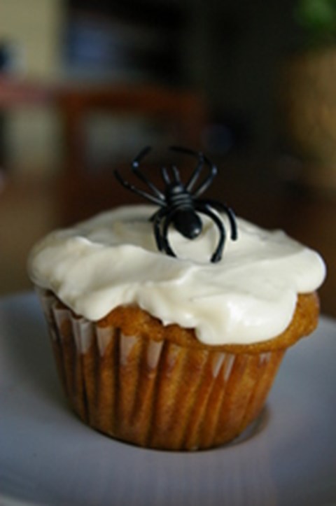 Pumpkin cupcakes with cream cheese frosting