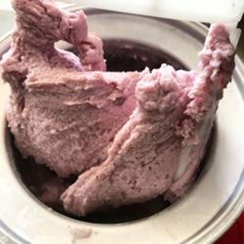 Very Berry Frozen Yogurt