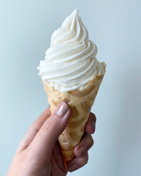 Dairy-Free Vanilla Custard Ice Cream